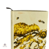 Macallan Harmony Collection - Vibrant Oak Thumbnail