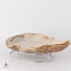 Bowmore Oyster Luge Thumbnail