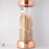 Macallan 10 Year Old with The Malt Bottle Display Thumbnail